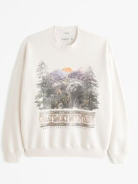 Abercrombie & Fitch | Great Smoky Mountains Oversized Graphic Sweatshirt | Large